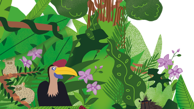 Ausschnitt aus einem Urwald mit verschiedenen Tieren und Pflanzen