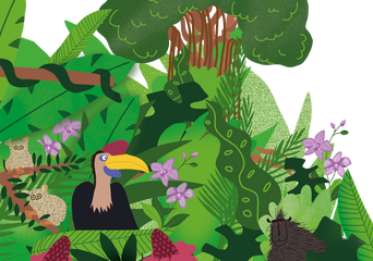 Ausschnitt aus einem Urwald mit verschiedenen Tieren und Pflanzen