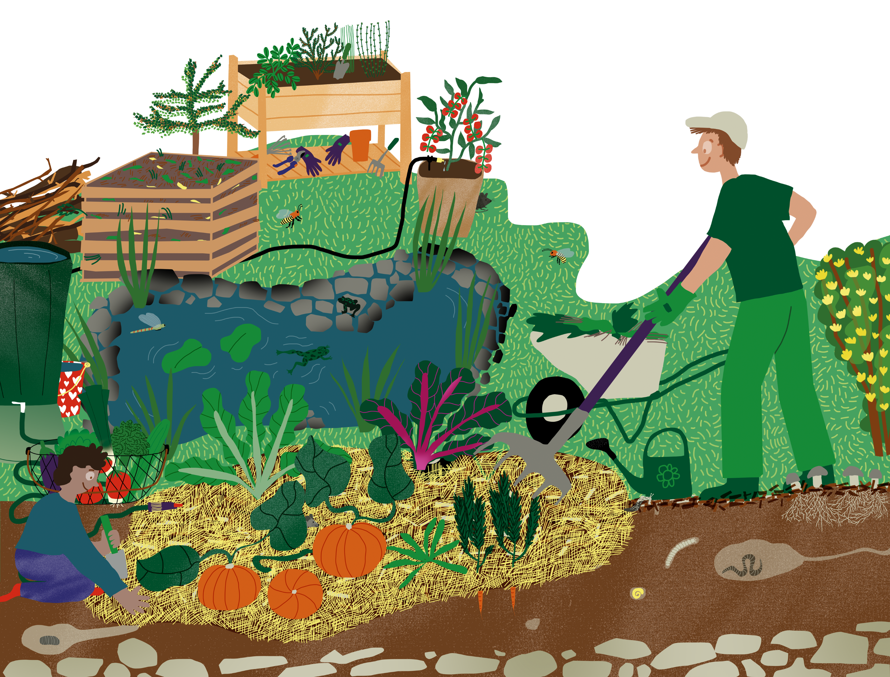 Ausschnitt eines Gartens mit Teich, Beet, Hochbeet, Kompost und zwei Personen, die im Garten arbeiten